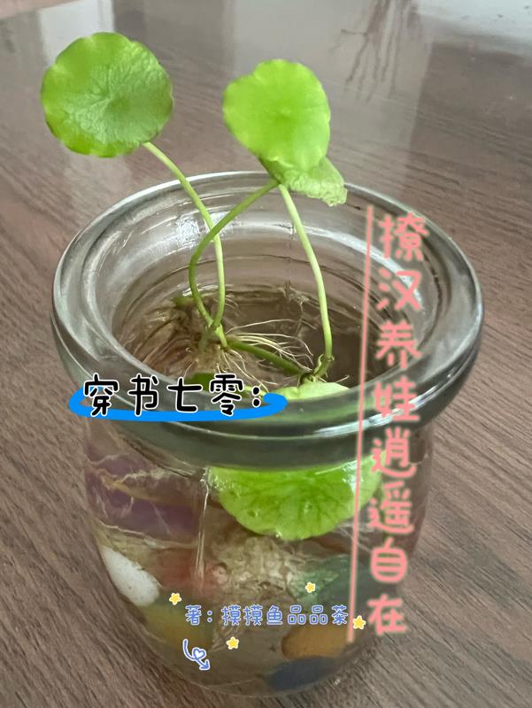 穿书七零文