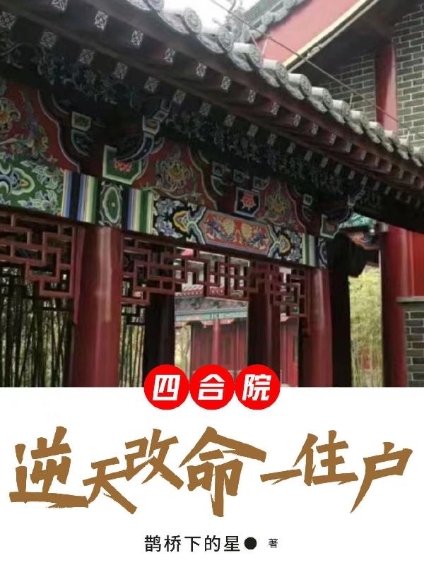 小说 四合院