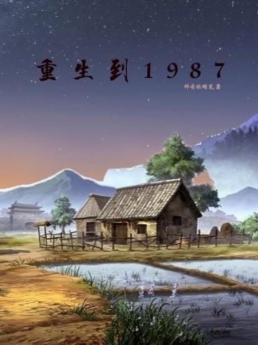 重生到1987年主角姓陆的小说名字